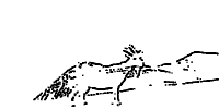 Деревянная коза на Памире